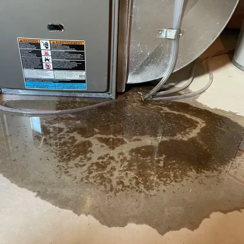 Appliance Leak Cleanup in Marissa, IL